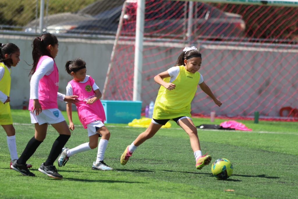 WhatsApp Image 2026-03-09 at 5.11.17 PM (1)