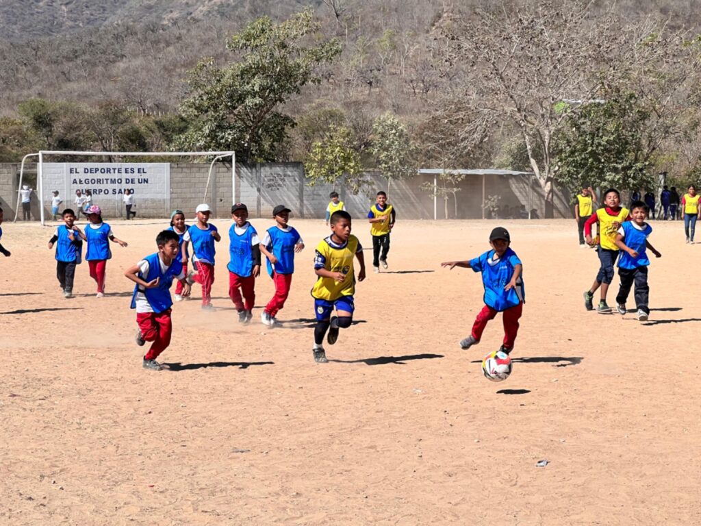 WhatsApp Image 2026-03-11 at 4.46.47 PM