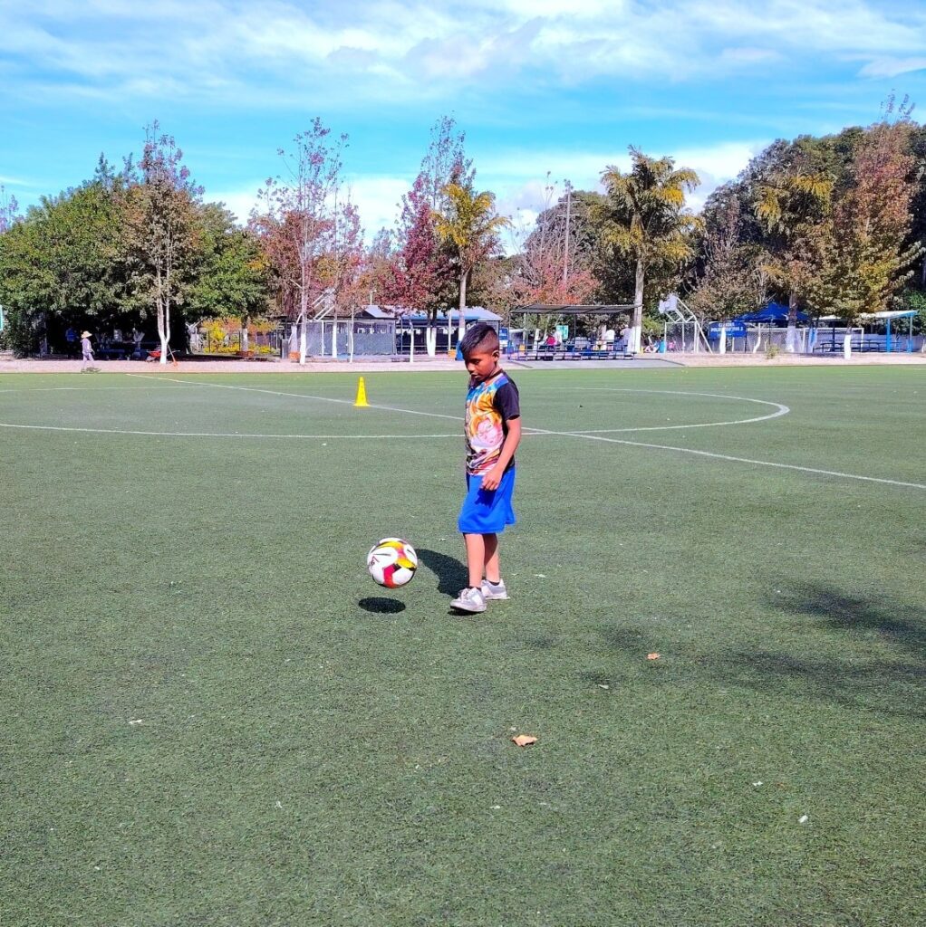 WhatsApp Image 2026-03-19 at 4.33.55 PM (1)