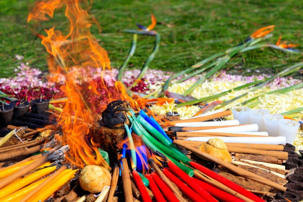 WhatsApp Image 2026-03-20 at 12.21.29 PM