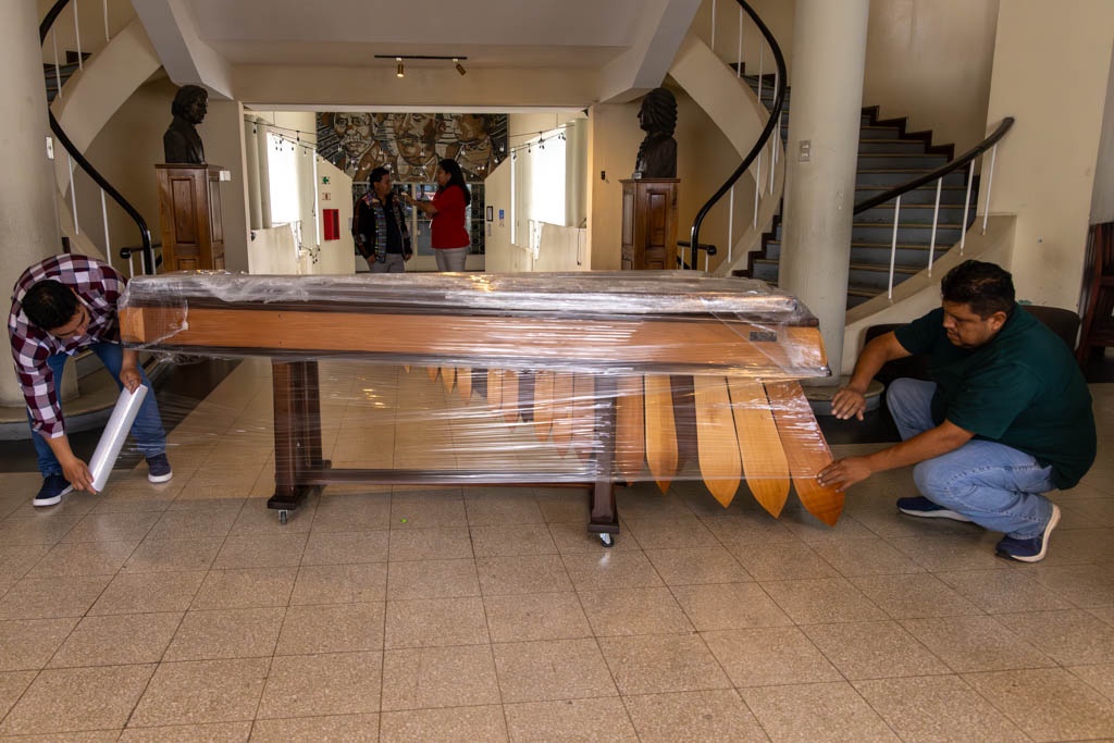 WhatsApp Image 2026-03-20 at 4.12.19 PM