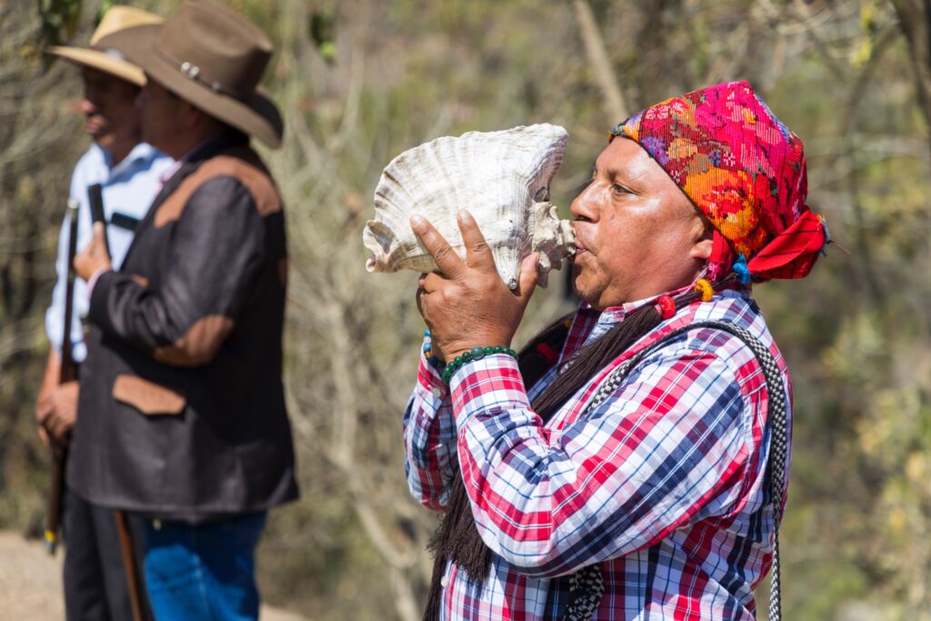 WhatsApp Image 2026-03-25 at 12.14.37 PM (4)