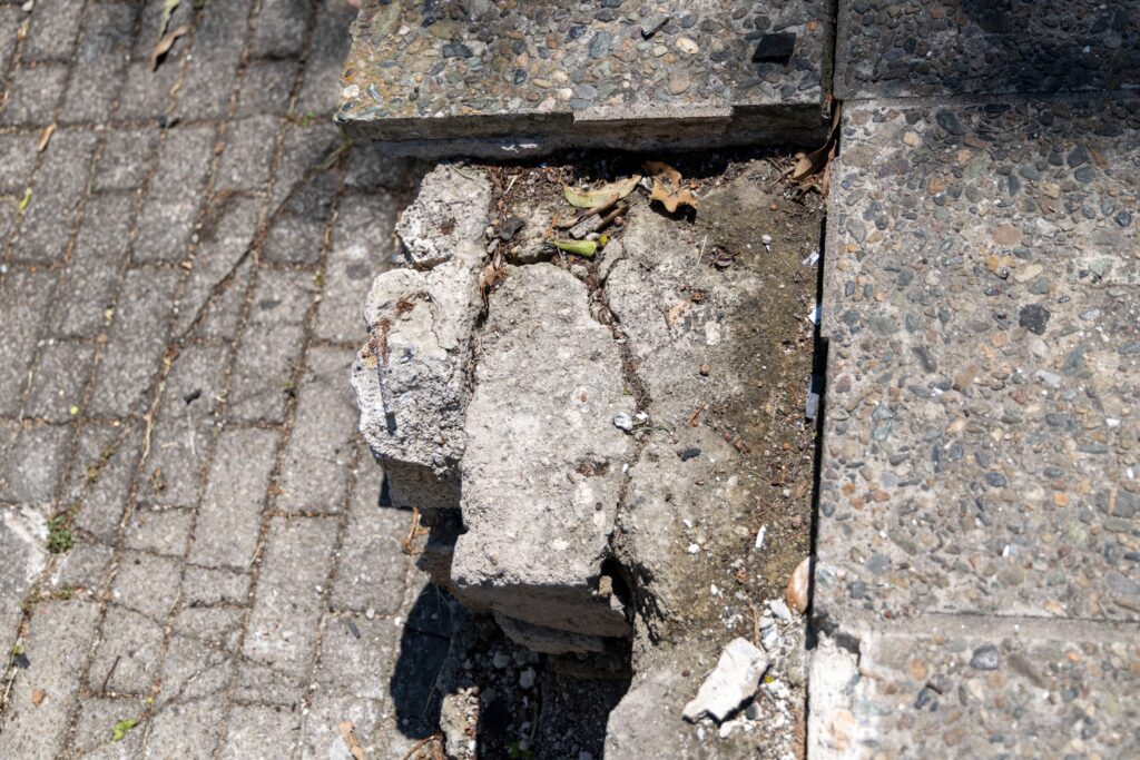 WhatsApp Image 2026-03-25 at 12.15.15 PM (2)