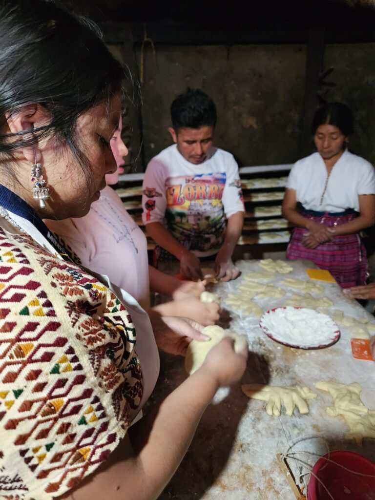 WhatsApp Image 2026-03-30 at 4.08.10 PM (1)