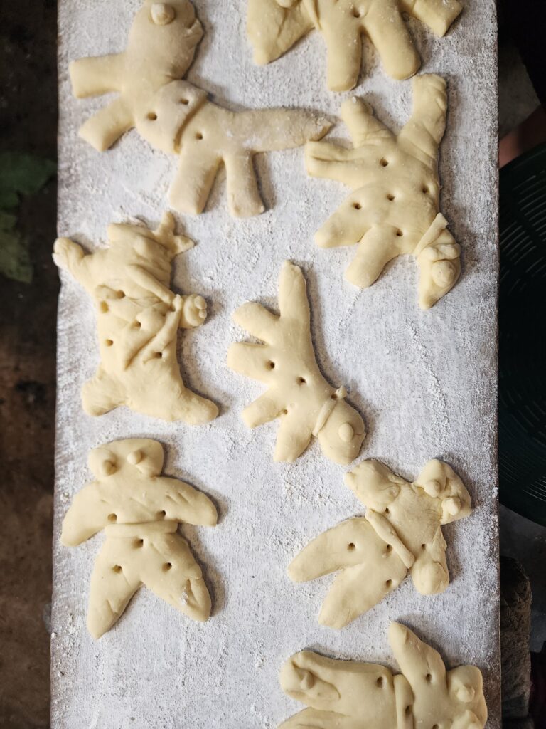 WhatsApp Image 2026-03-30 at 4.08.11 PM