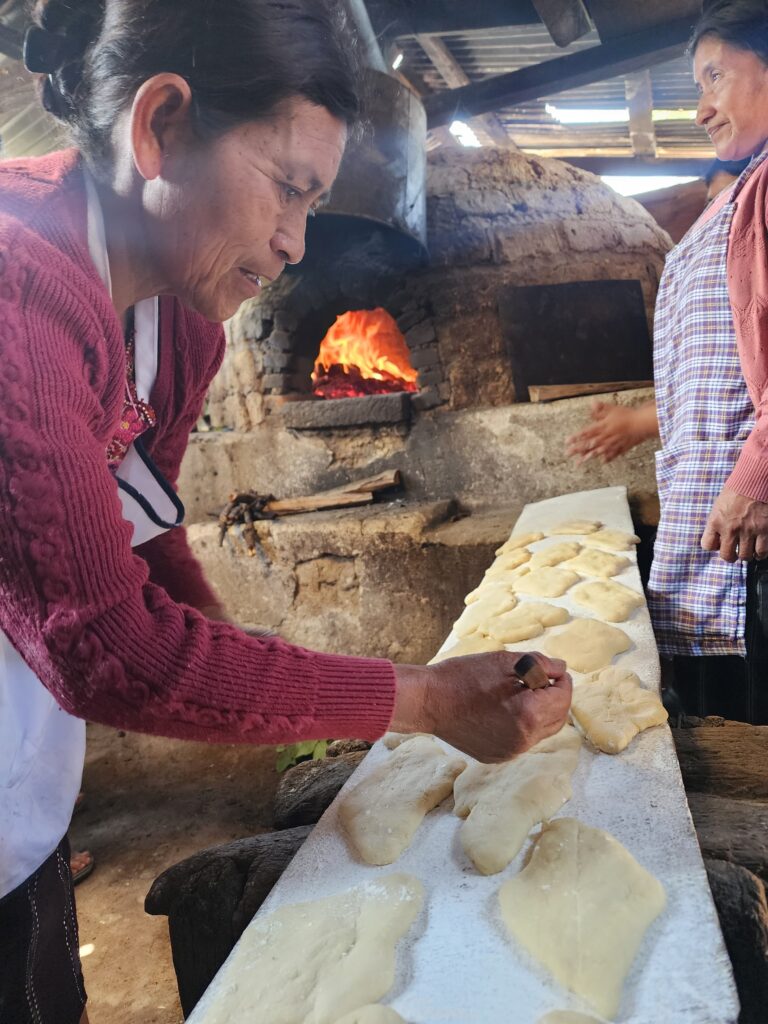 WhatsApp Image 2026-03-30 at 4.08.12 PM