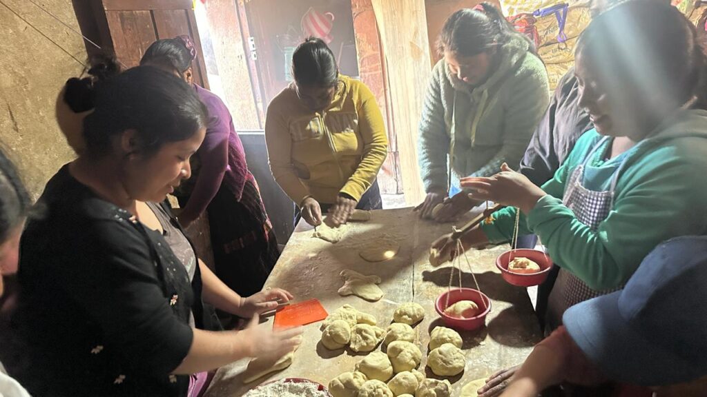 WhatsApp Image 2026-03-30 at 4.08.14 PM