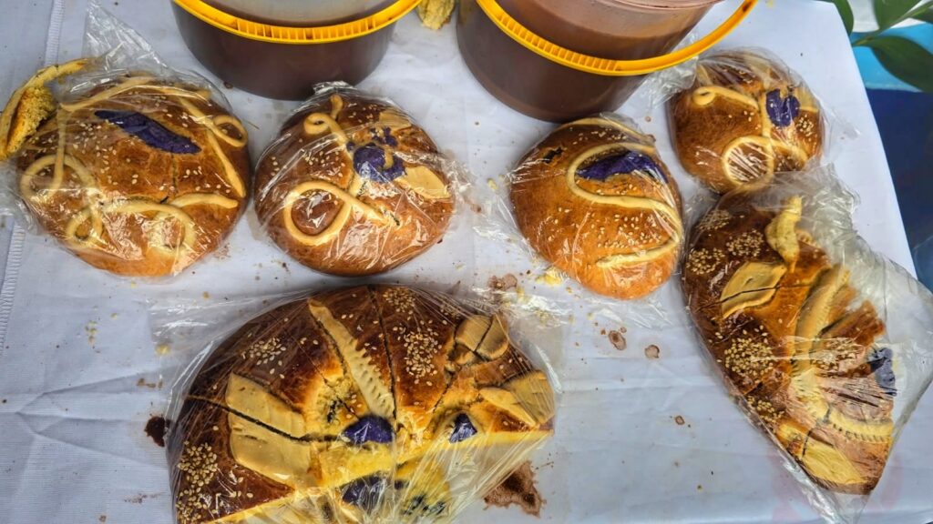 WhatsApp Image 2026-03-31 at 11.31.15 AM (2)