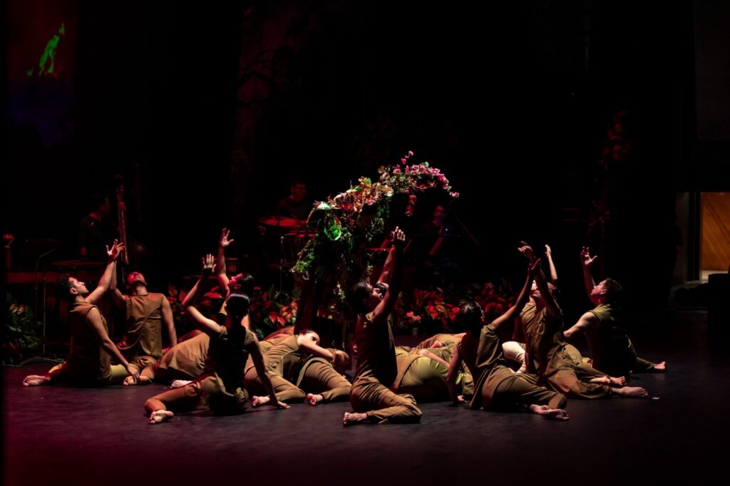 WhatsApp Image 2026-04-08 at 4.11.43 PM (1)