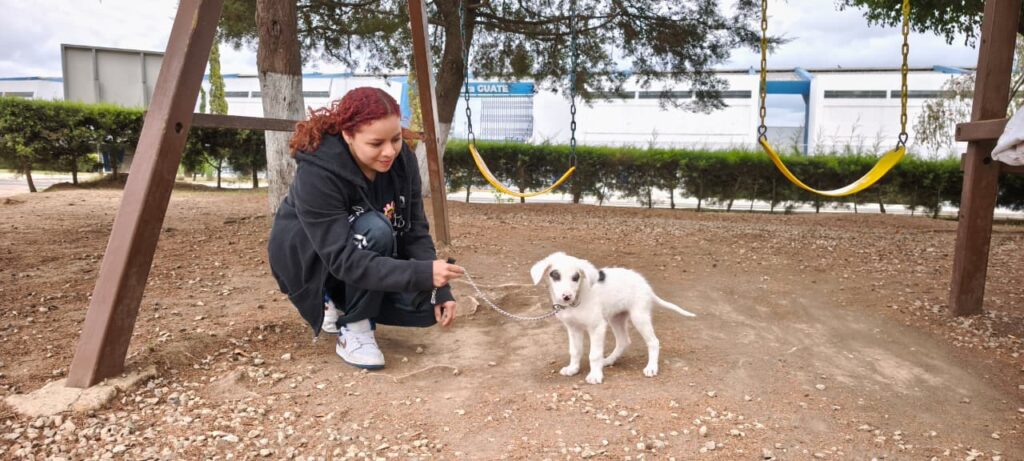 WhatsApp Image 2026-04-10 at 11.01.32 AM