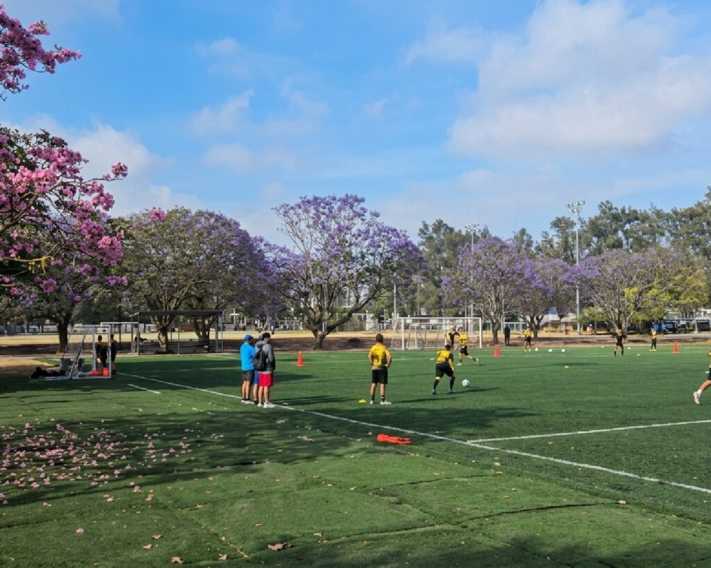 WhatsApp Image 2026-04-10 at 3.29.37 PM (1)