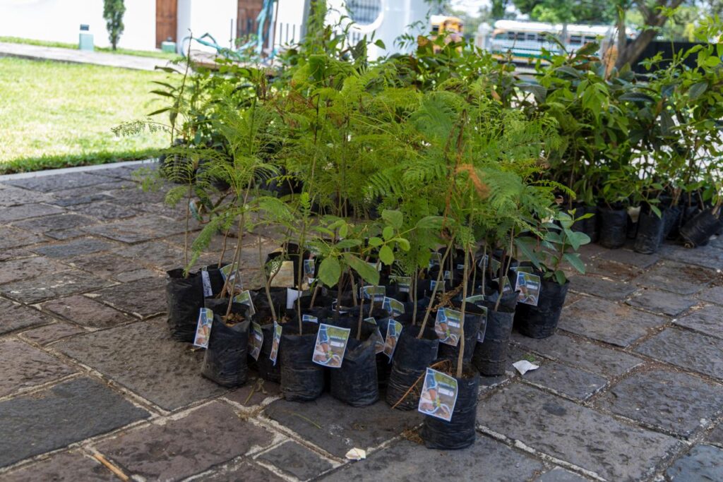 WhatsApp Image 2026-04-22 at 4.25.43 PM