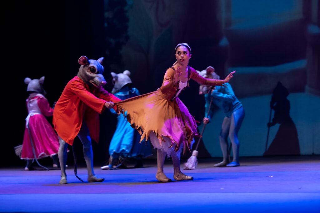 WhatsApp Image 2026-04-27 at 3.57.48 PM (2)